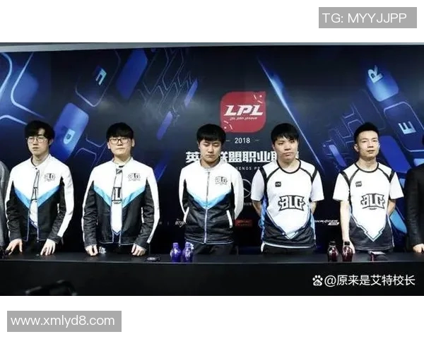 王者荣耀深度解析：BLG战队协作与战术配合的成功之道